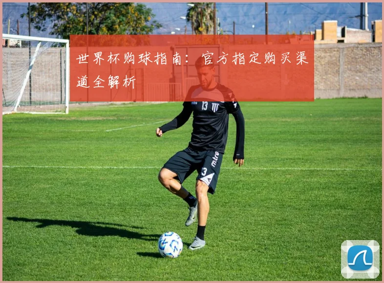 世界杯购球指南：官方指定购买渠道全解析