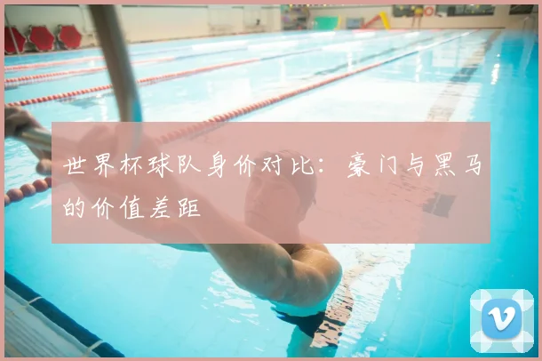 世界杯球队身价对比：豪门与黑马的价值差距