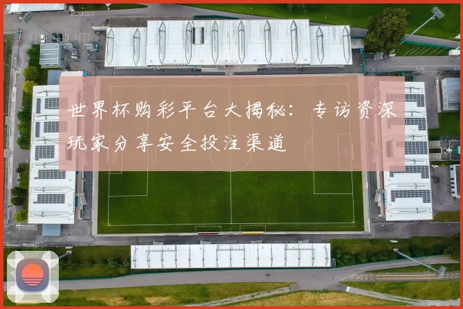 世界杯购彩平台大揭秘：专访资深玩家分享安全投注渠道