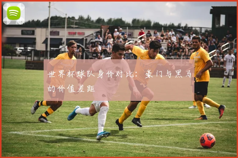 世界杯球队身价对比：豪门与黑马的价值差距