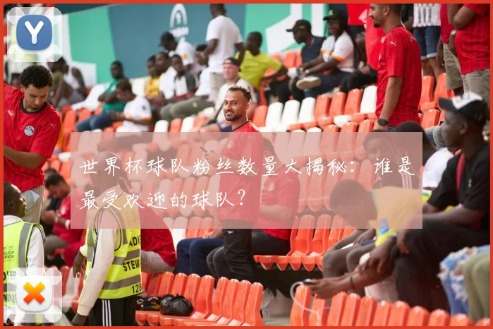 世界杯球队粉丝数量大揭秘：谁是最受欢迎的球队？