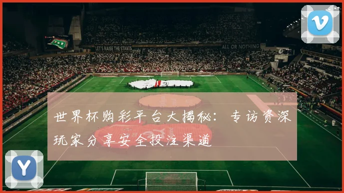 世界杯购彩平台大揭秘：专访资深玩家分享安全投注渠道