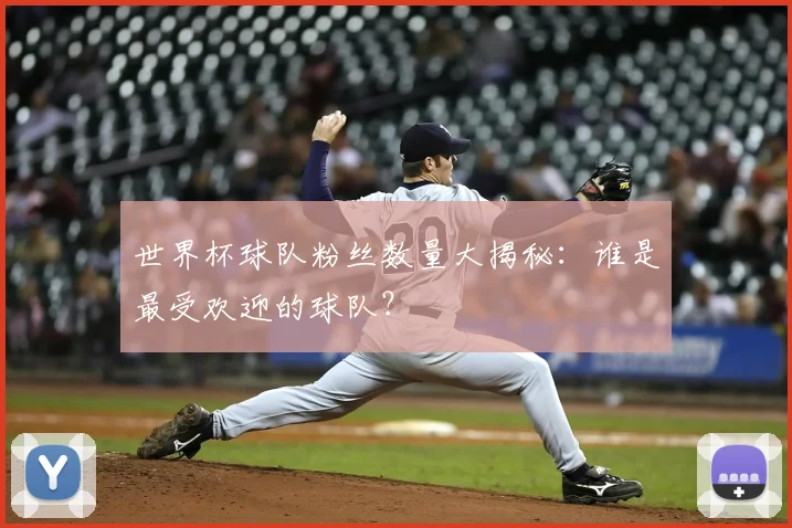 世界杯球队粉丝数量大揭秘：谁是最受欢迎的球队？
