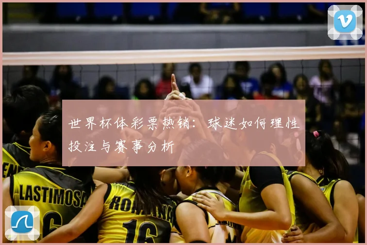 世界杯体彩票热销：球迷如何理性投注与赛事分析