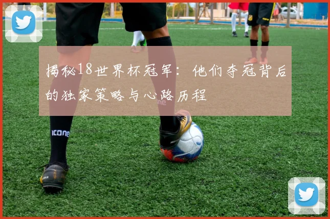 揭秘18世界杯冠军：他们夺冠背后的独家策略与心路历程