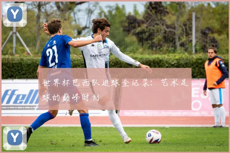 世界杯巴西队进球全记录：艺术足球的巅峰时刻